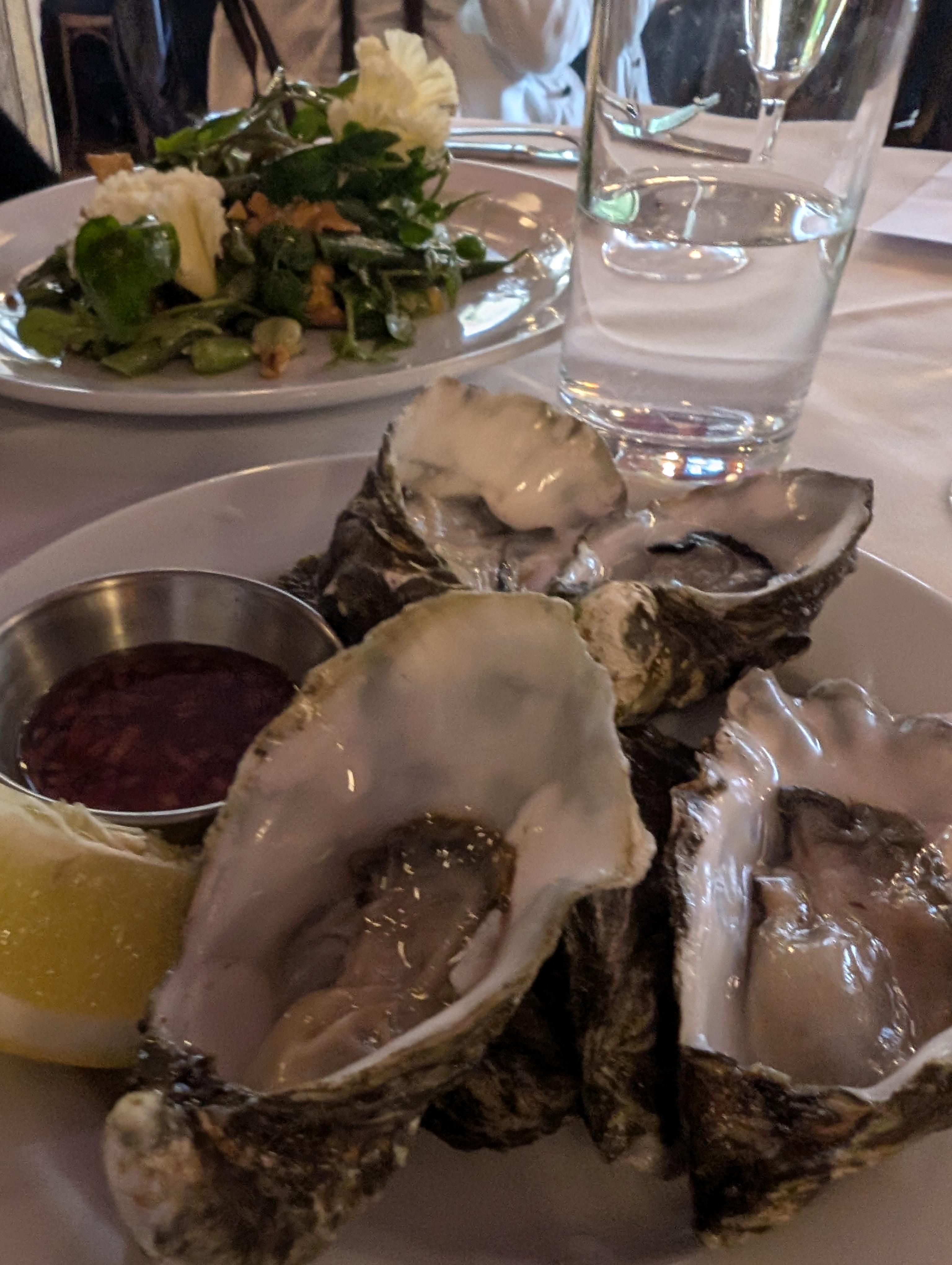 oysters at the french house