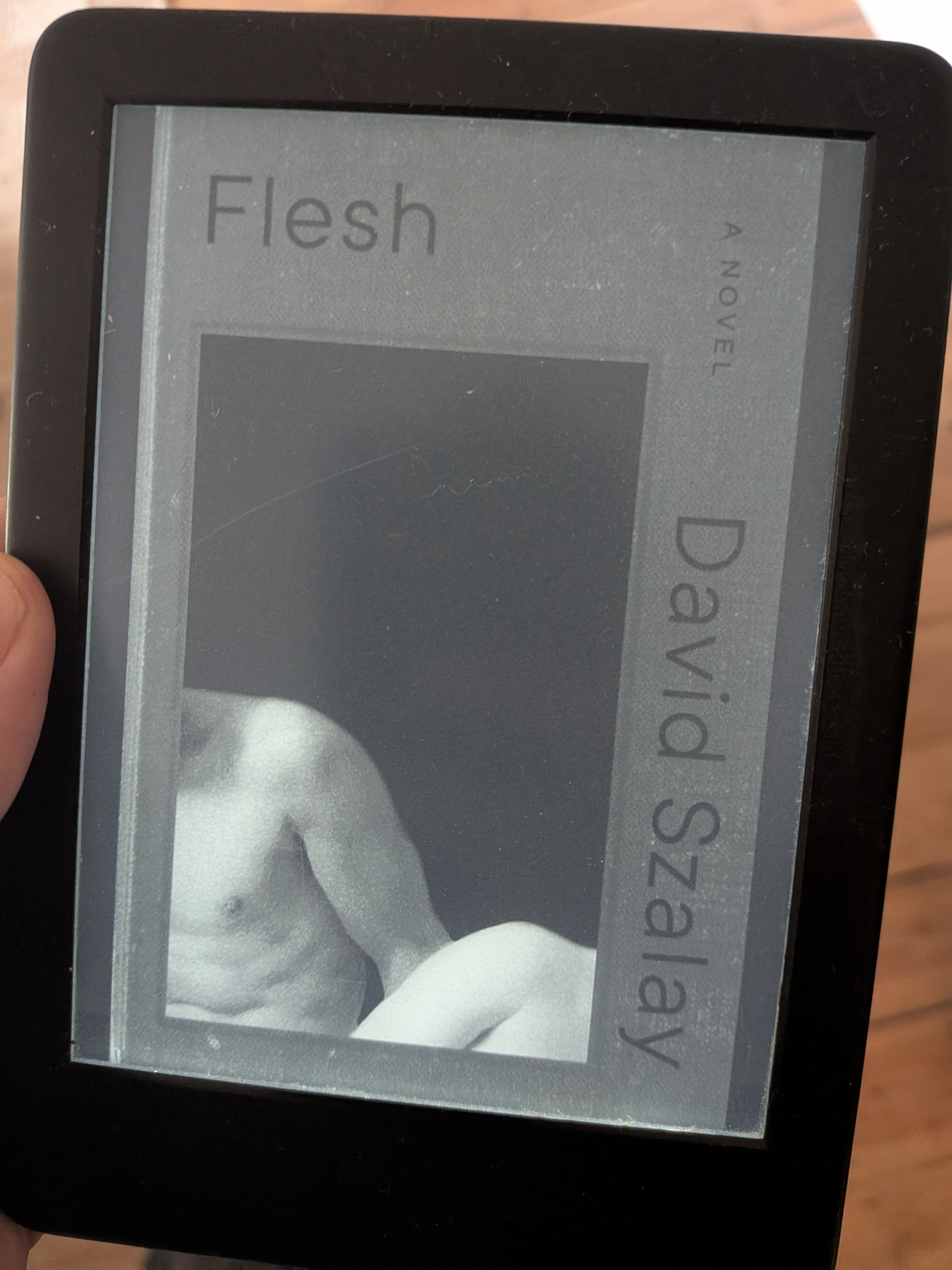 Flesh by Olivia Sudjic