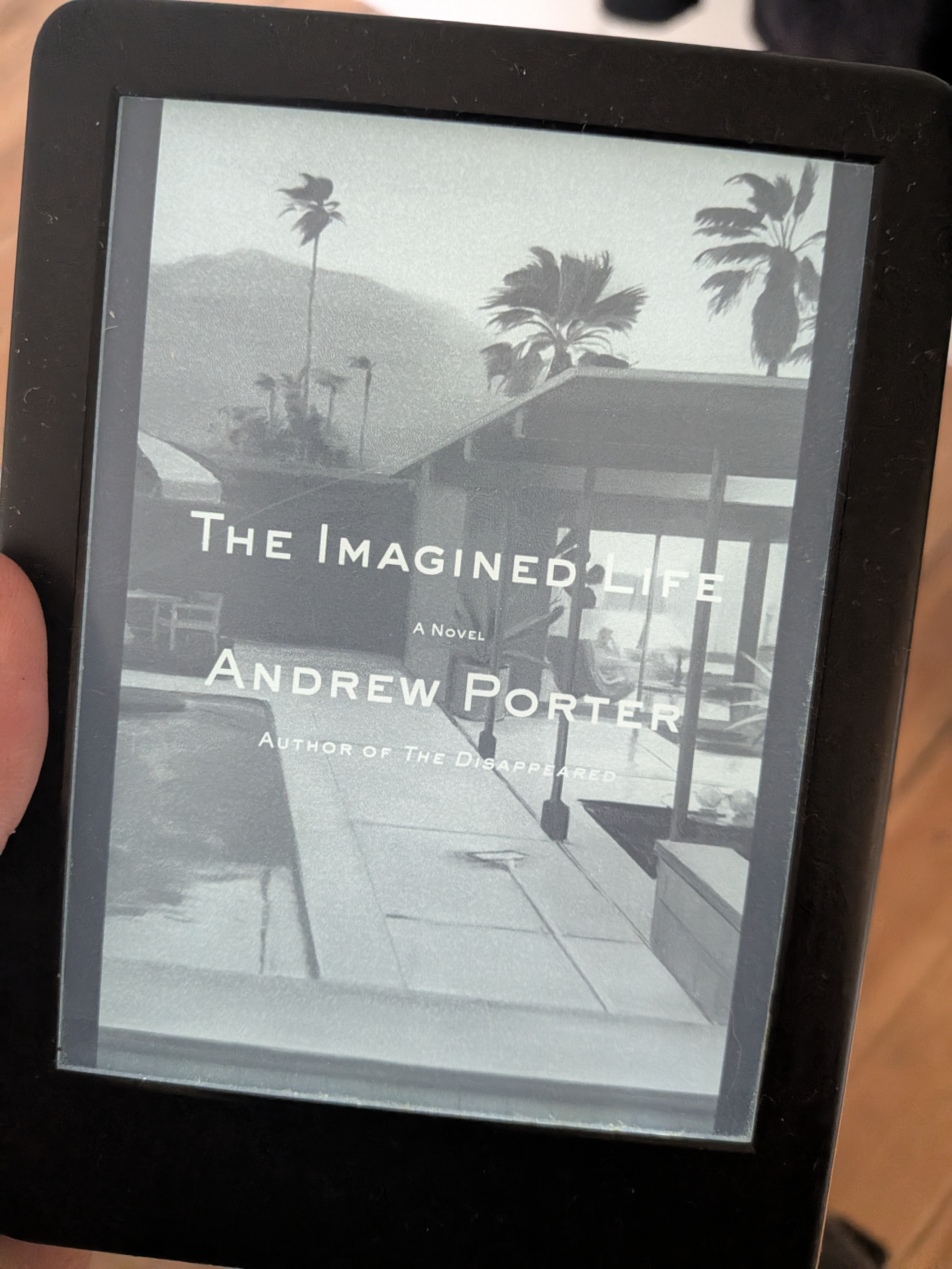 The Imagined Life