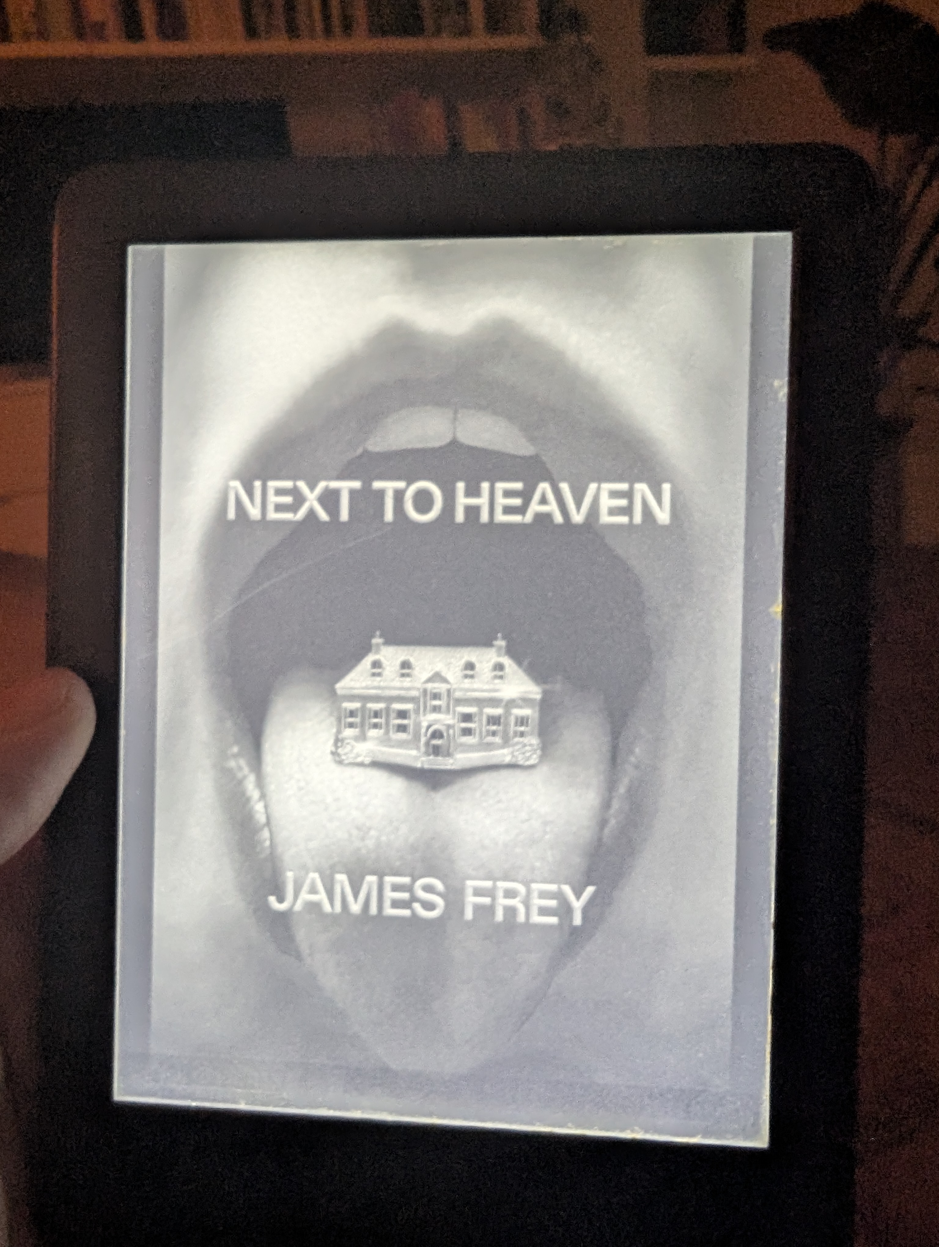 Next to Heaven by James Frey